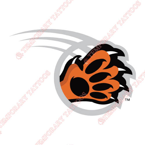 RIT Tigers Customize Temporary Tattoos Stickers NO.6018